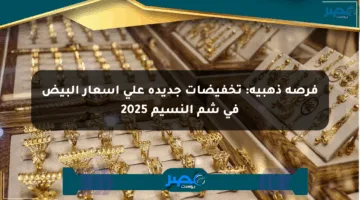 فرصة ذهبية: تخفيضات جديدة على أسعار البيض في شم النسيم 2025